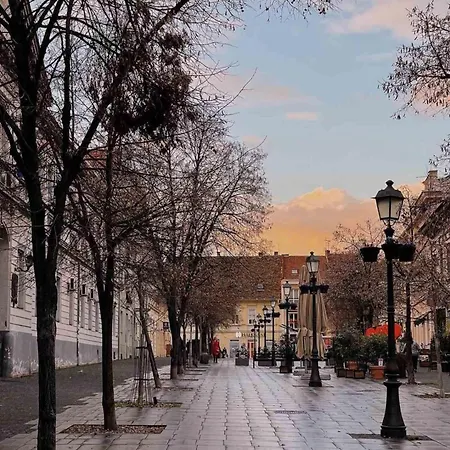 Katera 아파트 베오그라드