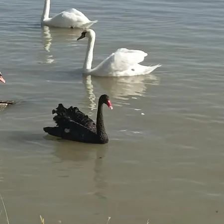 아파트 Katera 베오그라드